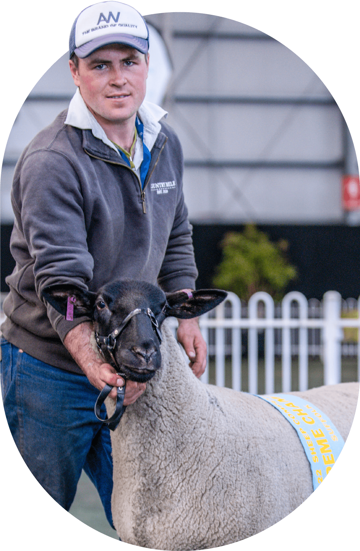 Melbourne Royal Sheep Competition - Melbourne Royal Show