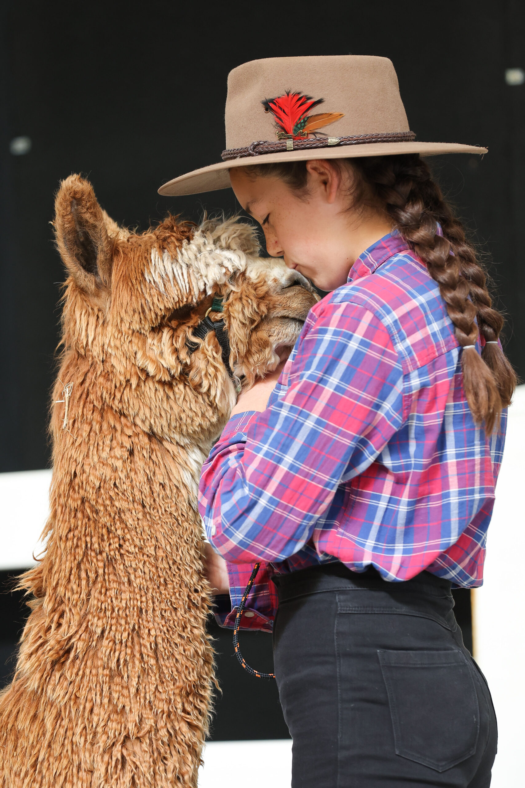 Alpaca Competition 2023 Melbourne Royal Show