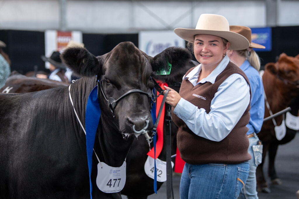 Beef Cattle Competition