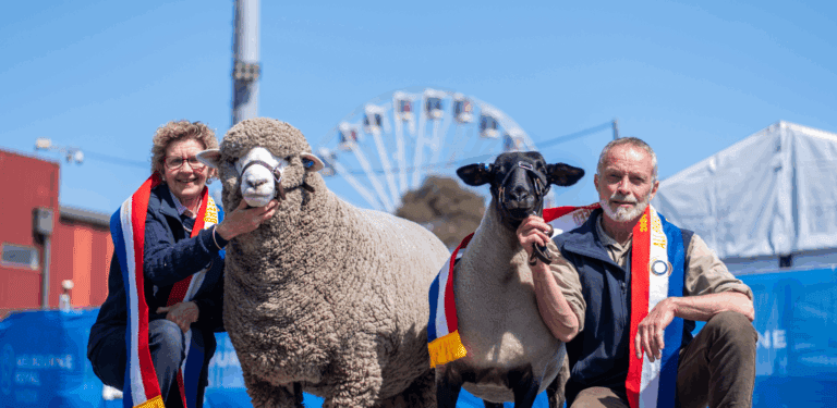 Blue Ribbon Competitions - Melbourne Royal Show
