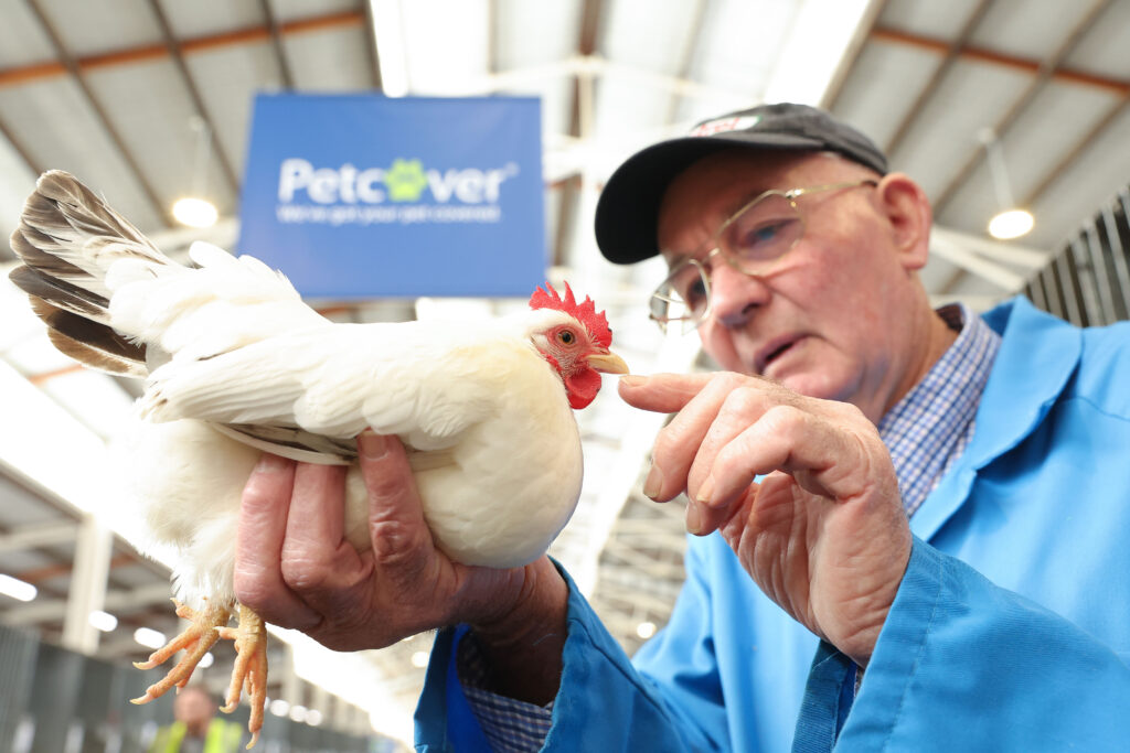 Poultry Competition